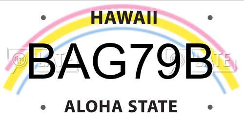 BAG79B Hawaii License Plate