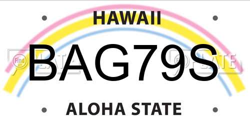 BAG79S Hawaii License Plate