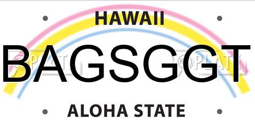 BAGSGGT Hawaii License Plate