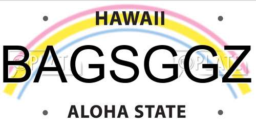 BAGSGGZ Hawaii License Plate