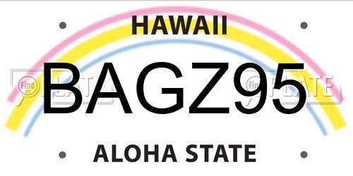 BAGZ95 Hawaii License Plate