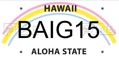 BAIG15 Hawaii License Plate