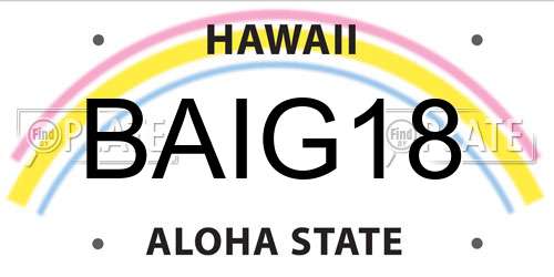BAIG18 Hawaii License Plate