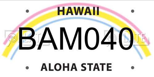 BAM040 Hawaii License Plate