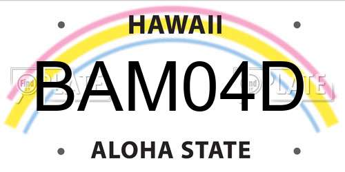 BAM04D Hawaii License Plate
