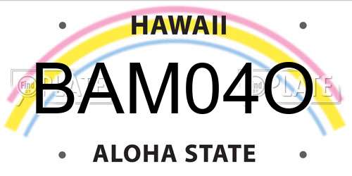 BAM04O Hawaii License Plate
