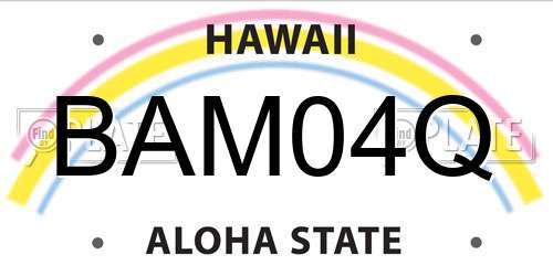 BAM04Q Hawaii License Plate