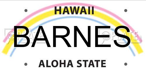 BARNES Hawaii License Plate