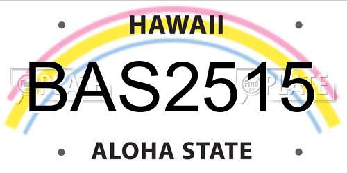 BAS2515 Hawaii License Plate