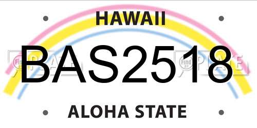 BAS2518 Hawaii License Plate