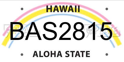 BAS2815 Hawaii License Plate