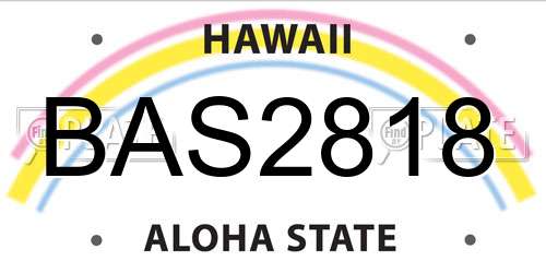 BAS2818 Hawaii License Plate