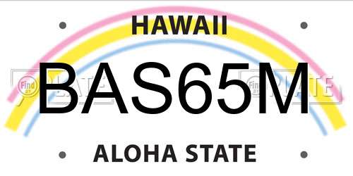 BAS65M Hawaii License Plate