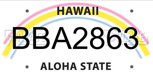 BBA2863 Hawaii License Plate