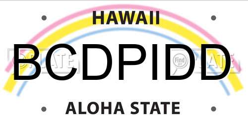 BCDPIDD Hawaii License Plate
