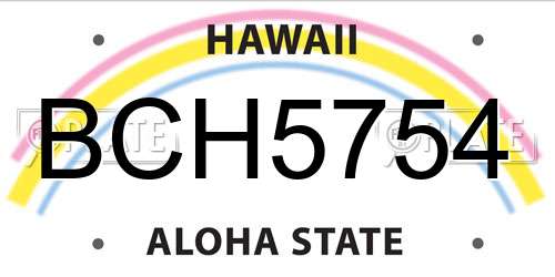 BCH5754 Hawaii License Plate