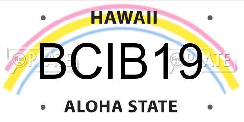 BCIB19 Hawaii License Plate
