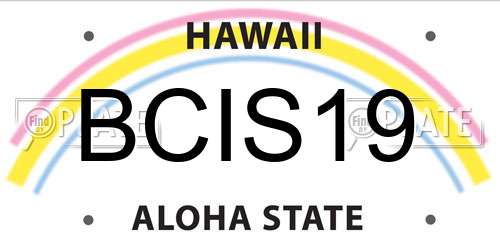 BCIS19 Hawaii License Plate