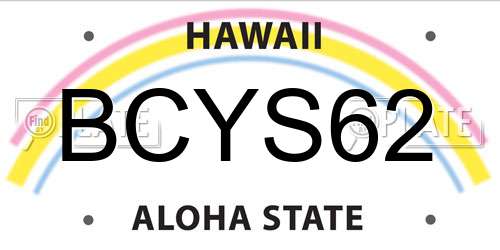 BCYS62 Hawaii License Plate