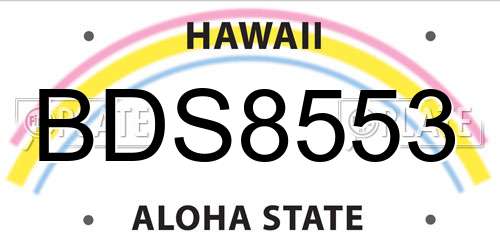 BDS8553 Hawaii License Plate