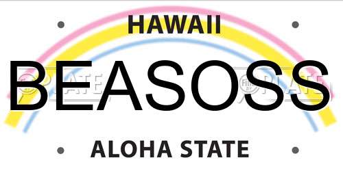 BEASOSS Hawaii License Plate