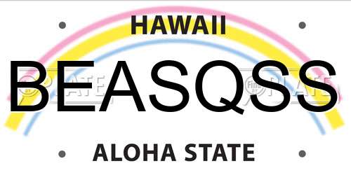 BEASQSS Hawaii License Plate