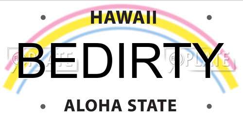 BEDIRTY Hawaii License Plate