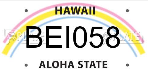 BEI058 Hawaii License Plate