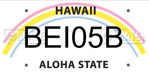 BEI05B Hawaii License Plate