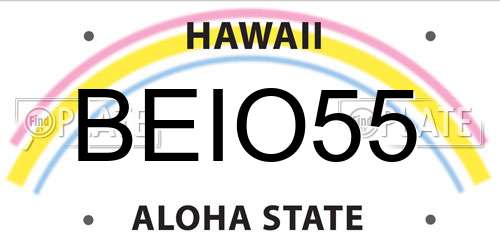 BEIO55 Hawaii License Plate