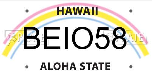 BEIO58 Hawaii License Plate