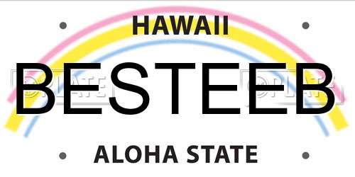 BESTEEB Hawaii License Plate