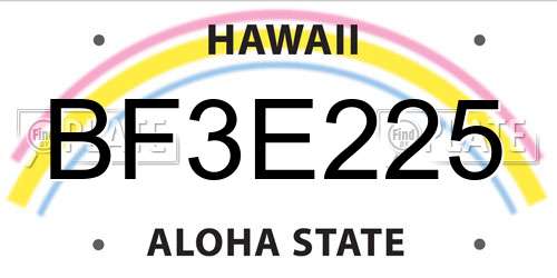 BF3E225 Hawaii License Plate