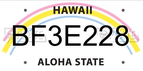 BF3E228 Hawaii License Plate