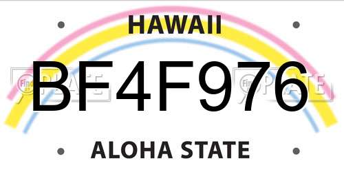 BF4F976 Hawaii License Plate