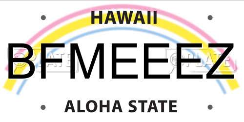 BFMEEEZ Hawaii License Plate