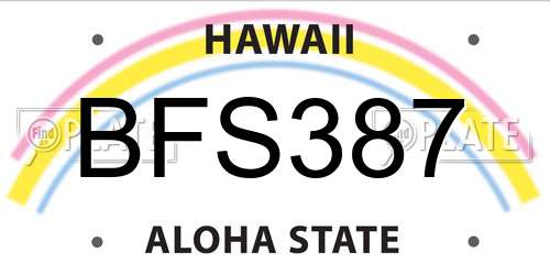 BFS387 Hawaii License Plate