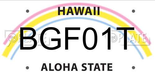 BGF01T Hawaii License Plate