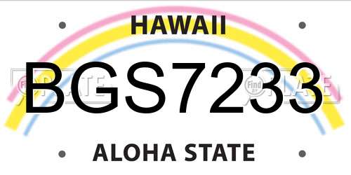 BGS7233 Hawaii License Plate