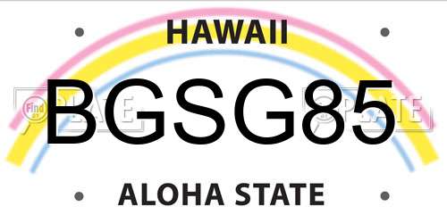 BGSG85 Hawaii License Plate