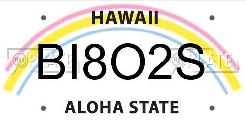 BI8O2S Hawaii License Plate