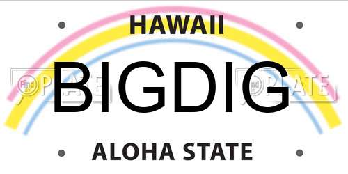 BIGDIG Hawaii License Plate