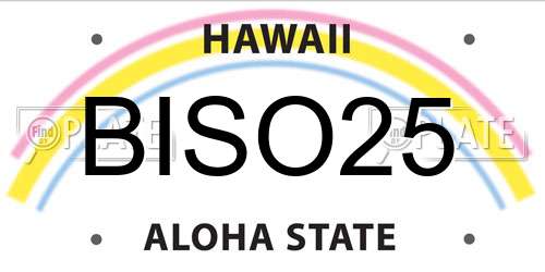 BISO25 Hawaii License Plate