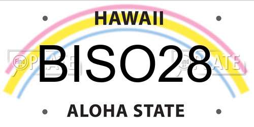 BISO28 Hawaii License Plate