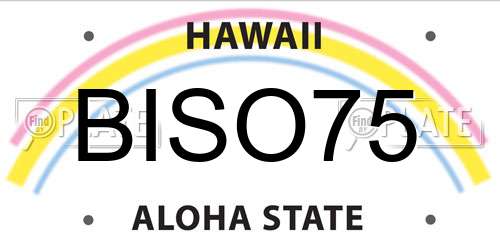 BISO75 Hawaii License Plate