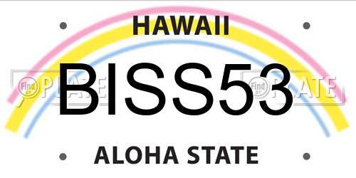 BISS53 Hawaii License Plate