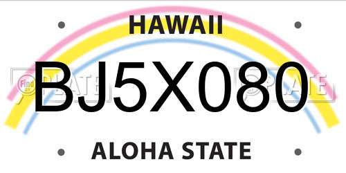 BJ5X080 Hawaii License Plate