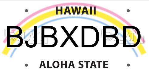 BJBXDBD Hawaii License Plate