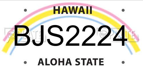 BJS2224 Hawaii License Plate