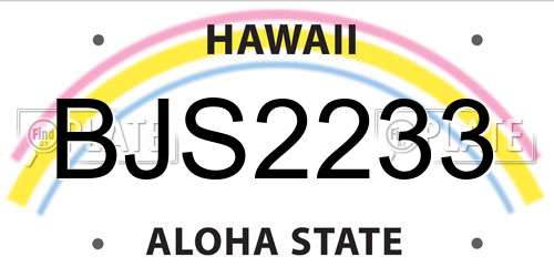 BJS2233 Hawaii License Plate